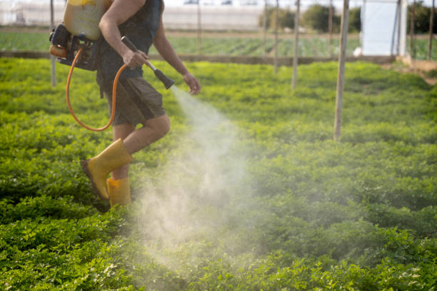 Best Pest Prevention Services  in Hughesville, PA