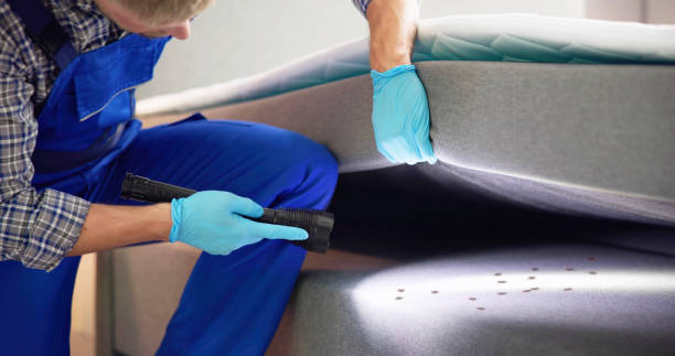 Best Termite Control Services  in Hughesville, PA