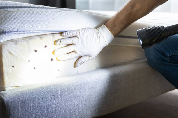 Best Mosquito Control Services  in Hughesville, PA