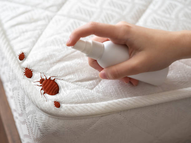 Best Pest Removal Services  in Hughesville, PA