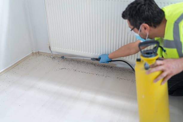 Best Residential Pest Control  in Hughesville, PA